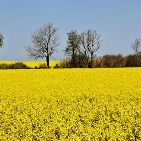 Urlaub Im Positano-mobilheim An Der Ostsee * Hasselberg (Schleswig-Holstein)