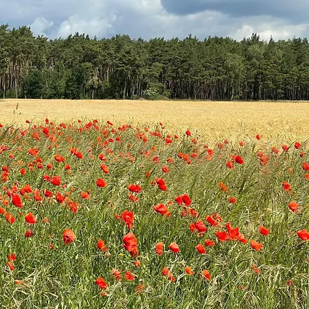 Urlaub Im Positano-mobilheim An Der Ostsee Hasselberg (Schleswig-Holstein)